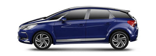 DS 5 Injektoren