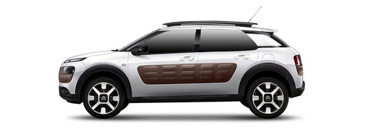 C4 CACTUS