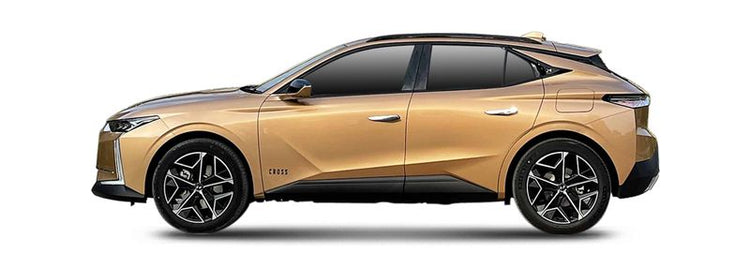 DS 4 II Injektoren