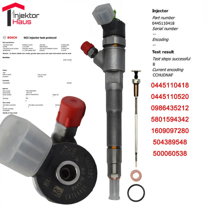 Bosch Injektor 0445110418 0445110520 für Fiat Ducato & Iveco Daily