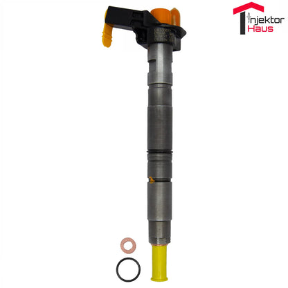 BOSCH Einspritzdüse (0445116030) für VW, Audi, Seat, Skoda 2,0 TDI