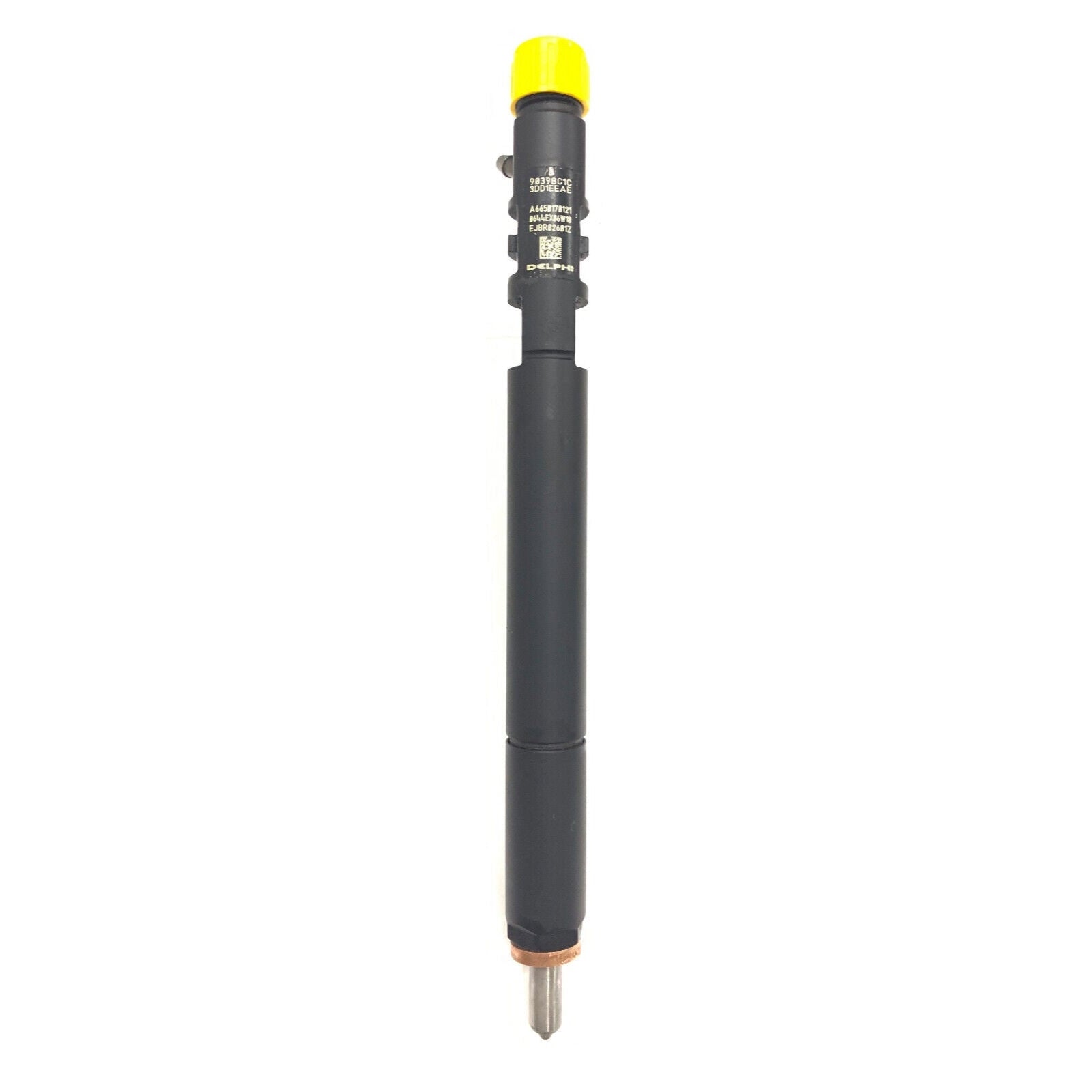 A6650170121 Common Rail Diesel Fuel Injector EJBR02601Z für Delphi Kyron Einspritzdüse
